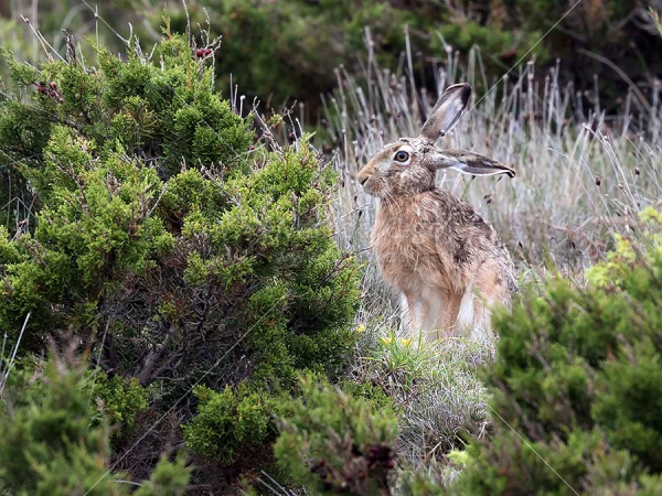 Klikni za ogled večje slike