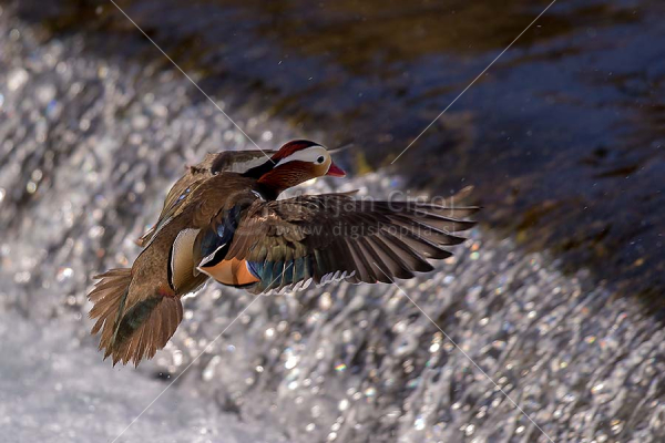 Klikni za ogled večje slike